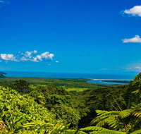 Cape Tribulation Day Tour - Tourism Canberra