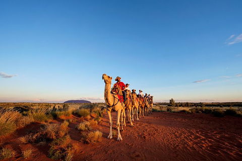 Uluru Small-Group Tour By Camel At Sunrise Or Sunset - Tourism Canberra 0