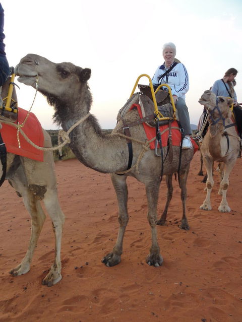 Uluru Small-Group Tour By Camel At Sunrise Or Sunset - Tourism Canberra 2