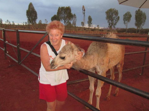 Uluru Small-Group Tour By Camel At Sunrise Or Sunset - Tourism Canberra 18