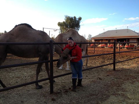 Uluru Small-Group Tour By Camel At Sunrise Or Sunset - Tourism Canberra 21