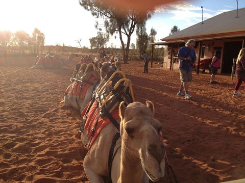 Uluru Small-Group Tour By Camel At Sunrise Or Sunset - Tourism Canberra 22