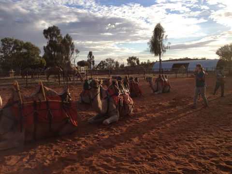 Uluru Small-Group Tour By Camel At Sunrise Or Sunset - Tourism Canberra 23