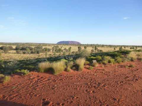 Uluru Small-Group Tour By Camel At Sunrise Or Sunset - Tourism Canberra 9