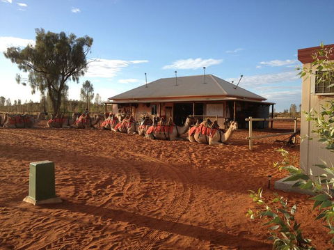 Uluru Small-Group Tour By Camel At Sunrise Or Sunset - Tourism Canberra 19
