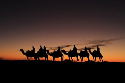 Uluru Small-Group Tour By Camel At Sunrise Or Sunset - Tourism Canberra 27