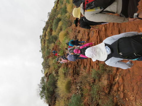Kings Canyon Day Trip From Ayers Rock - Tourism Canberra 14