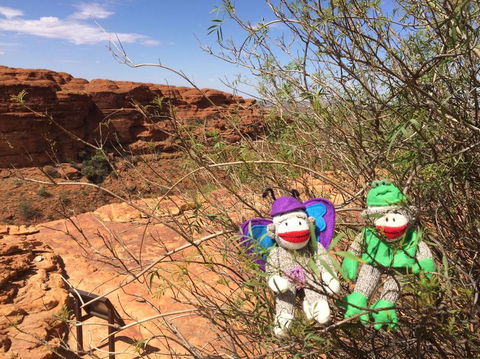 Kings Canyon Day Trip From Ayers Rock - Tourism Canberra 23