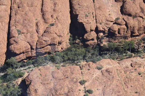 Kings Canyon Day Trip From Ayers Rock - Tourism Canberra 5