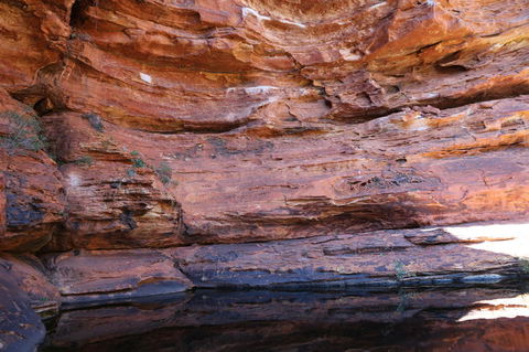 Kings Canyon Day Trip From Ayers Rock - Tourism Canberra 16