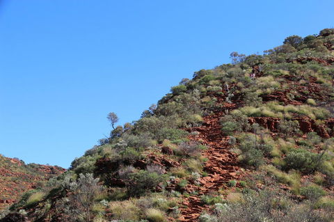Kings Canyon Day Trip From Ayers Rock - Tourism Canberra 21