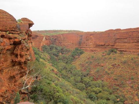 Kings Canyon Day Trip From Ayers Rock - Tourism Canberra 13