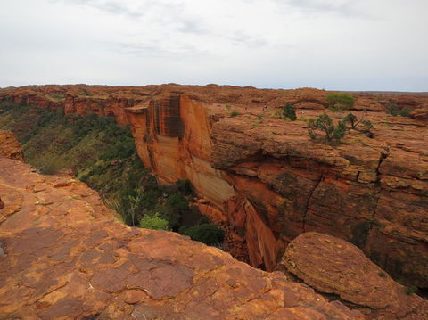 Kings Canyon Day Trip From Ayers Rock - Tourism Canberra 10