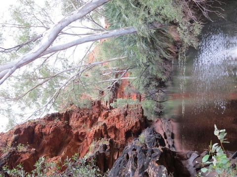 Kings Canyon Day Trip From Ayers Rock - Tourism Canberra 11