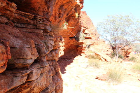 Kings Canyon Day Trip From Ayers Rock - Tourism Canberra 20
