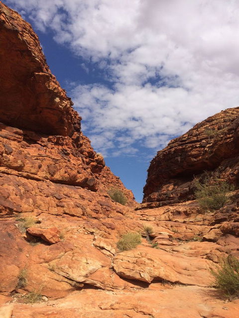 Kings Canyon Day Trip From Ayers Rock - Tourism Canberra 25