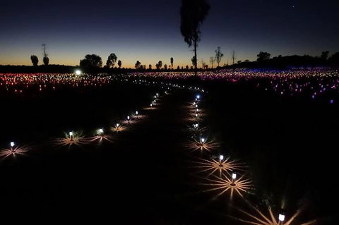 Uluru Field Of Light Sunrise Tour - Tourism Canberra 2