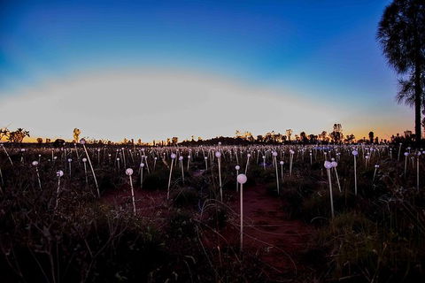 Uluru Field Of Light Sunrise Tour - Tourism Canberra 8