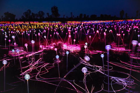 Uluru Field Of Light Sunrise Tour - Tourism Canberra 13