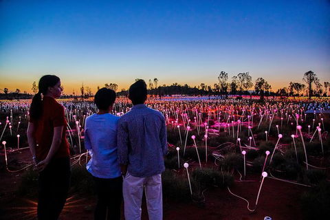 Uluru Field Of Light Sunrise Tour - Tourism Canberra 5