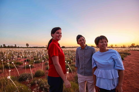 Uluru Field Of Light Sunrise Tour - Tourism Canberra 11