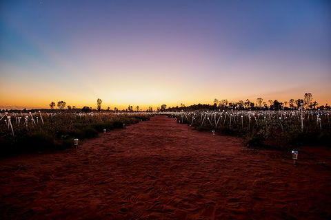 Uluru Field Of Light Sunrise Tour - Tourism Canberra 14