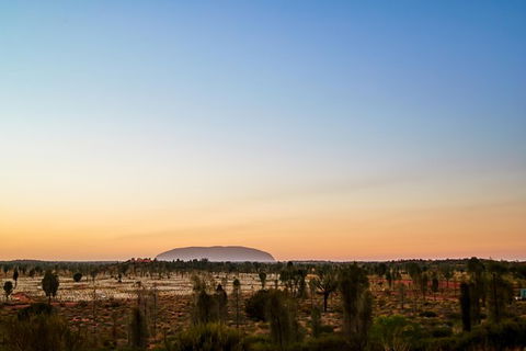 Uluru Field Of Light Sunrise Tour - Tourism Canberra 12