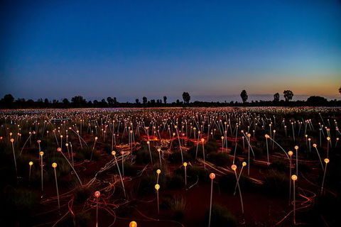 Uluru Field Of Light Sunrise Tour - Tourism Canberra 7