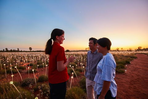 Uluru Field Of Light Sunrise Tour - Tourism Canberra 9
