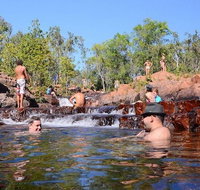 Litchfield and Jumping Crocodiles Full Day Trip from Darwin - Tourism Canberra