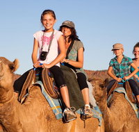 Alice Springs Camel Tour - Tourism Canberra