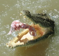 Darwin Jumping Crocodiles Cruise on Adelaide River - Tourism Canberra