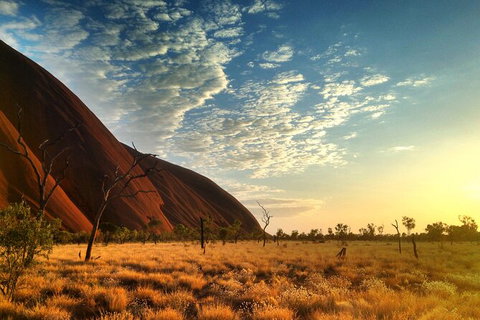 Highlights Of Uluru Including Sunrise And Breakfast - Tourism Canberra 5