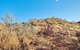 Kings Canyon Guided Rim Walk - thumb 5