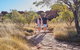 Kings Canyon Guided Rim Walk - thumb 7