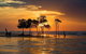 Darwin Self-Guided Audio Tour - thumb 2