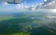 Kakadu & Katherine Gorge Full Day Air Tour, Helicopter & Cruise - thumb 9