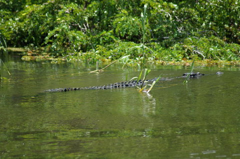 Kakadu, Nourlangie And Yellow Waters Tour From Darwin - Tourism Canberra 4