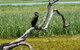 Kakadu, Nourlangie And Yellow Waters Tour From Darwin - thumb 2
