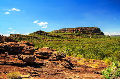 Kakadu, Nourlangie And Yellow Waters Tour From Darwin - Tourism Canberra 34