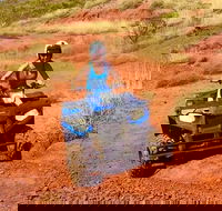 Aussie Outback Air and Land Tour Including Quad Bike Ride - Tourism Canberra