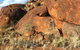Aboriginal Homelands Experience From Ayers Rock Including Sunset - thumb 9