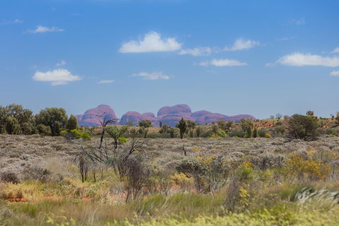 Overnight Uluru (Ayers Rock) Small-Group Camping Tour - Tourism Canberra 15