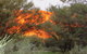 3-Day Ayers Rock, Olgas And Kings Canyon Camping Safari - thumb 6