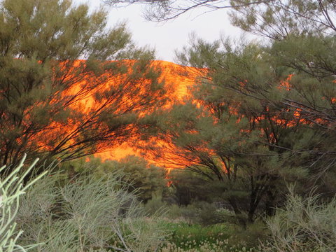 3-Day Ayers Rock, Olgas And Kings Canyon Camping Safari - Tourism Canberra 6
