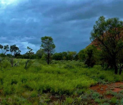 3-Day Ayers Rock To Alice Springs Camping Tour Including Kings Canyon, Kata Tjuta And Uluru - Tourism Canberra 11