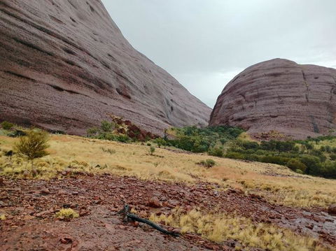 3-Day Ayers Rock To Alice Springs Camping Tour Including Kings Canyon, Kata Tjuta And Uluru - Tourism Canberra 4