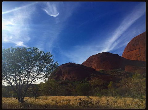 3-Day Ayers Rock To Alice Springs Camping Tour Including Kings Canyon, Kata Tjuta And Uluru - Tourism Canberra 14