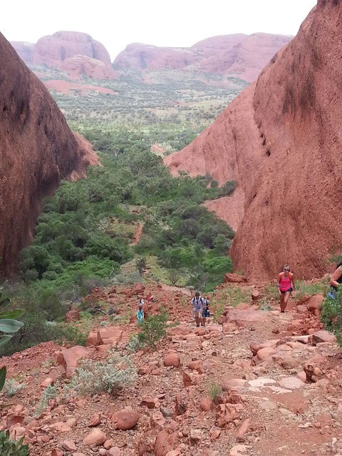 3-Day Ayers Rock To Alice Springs Camping Tour Including Kings Canyon, Kata Tjuta And Uluru - Tourism Canberra 7