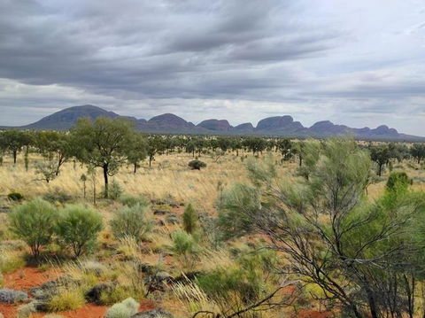 3-Day Ayers Rock To Alice Springs Camping Tour Including Kings Canyon, Kata Tjuta And Uluru - Tourism Canberra 5